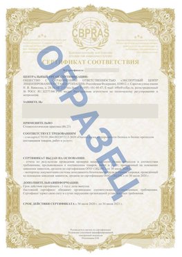 Образец Сертификат СТО 01.064.00220722.2-2020 Березники Сертификат СТО 01.064.00220722.2-2020 