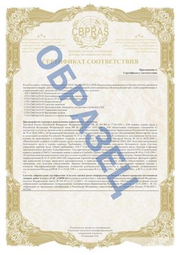Образец Приложение к СТО 01.064.00220722.2-2020 Березники Сертификат СТО 01.064.00220722.2-2020 